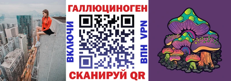Купить где  Александровск-Сахалинский  Псилоцибиновые грибы Psilocybine cubensis 